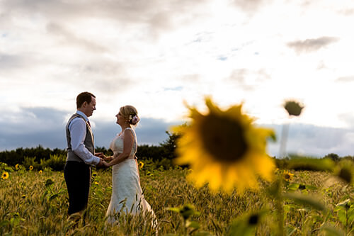 bride and groom holding hands in sunflower field at Wethele Manor