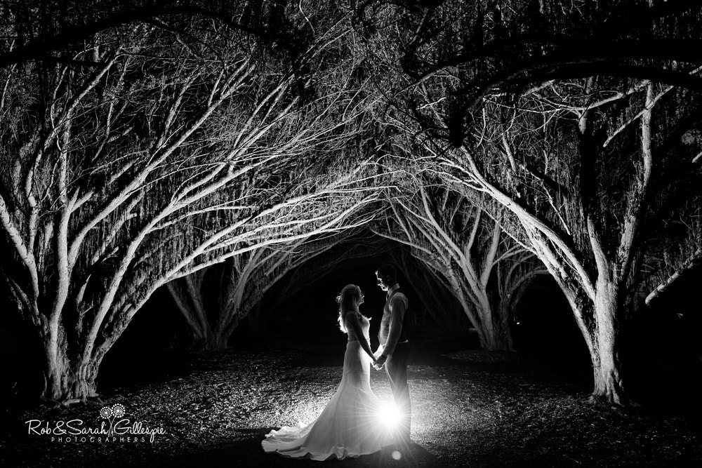 Bride and groom under avenue of trees at New Hall Hotel
