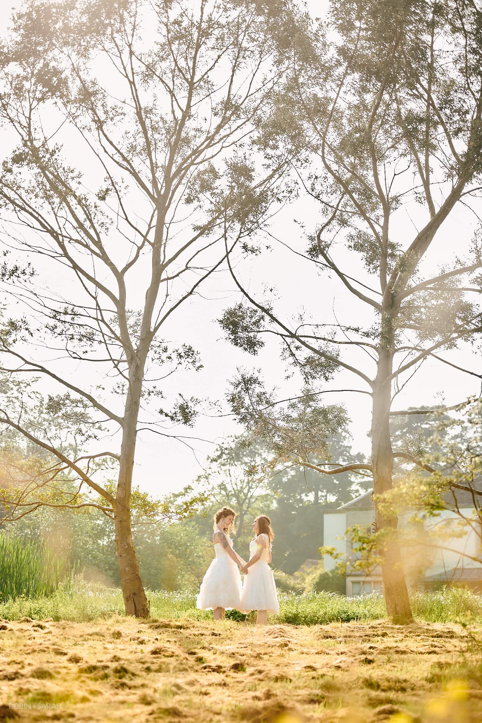 Two brides holding hands beneath two tall trees
