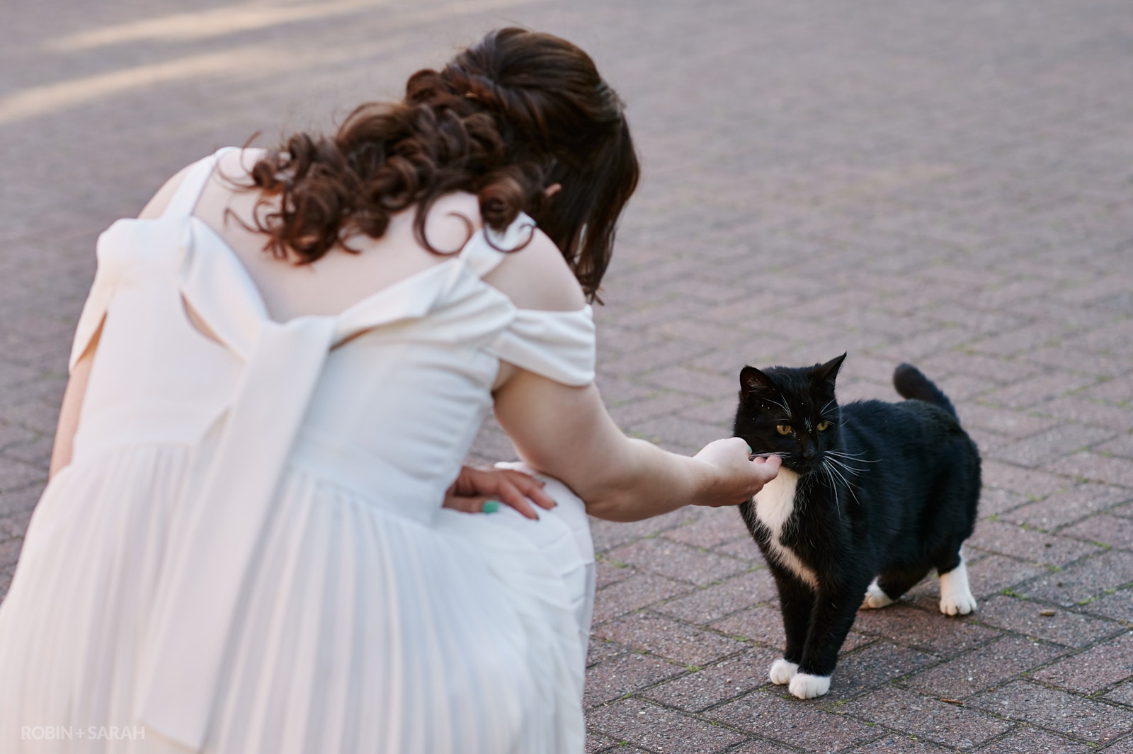 Bride strokes pet cat