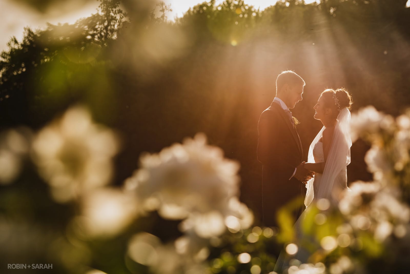 Bride and groom in evening sunlight