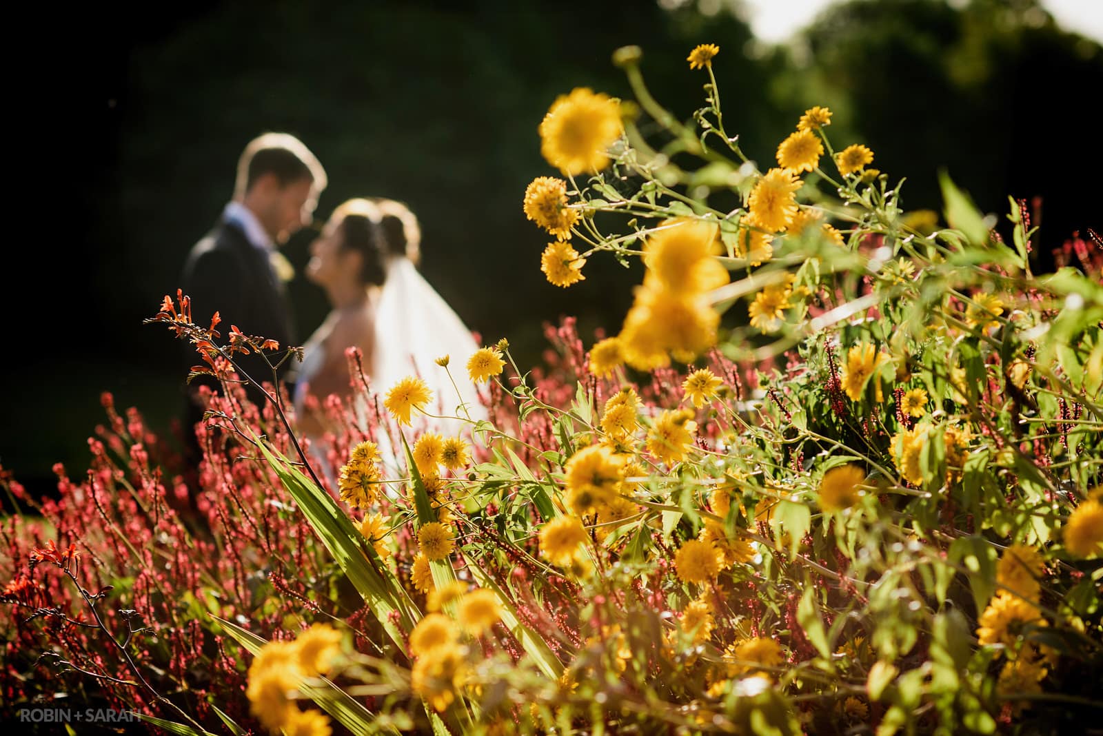 Bride and groom together in gardens surrounded by yellow and red flowers
