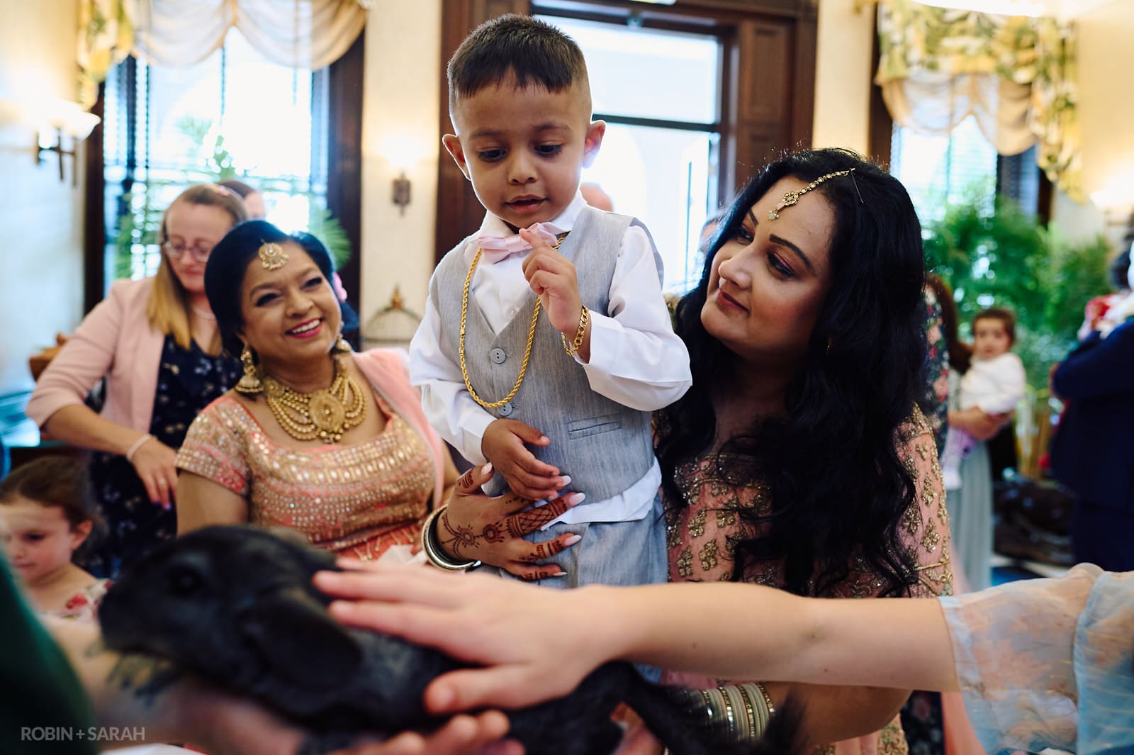 Guests pet animals at Spring Grove House wedding reception