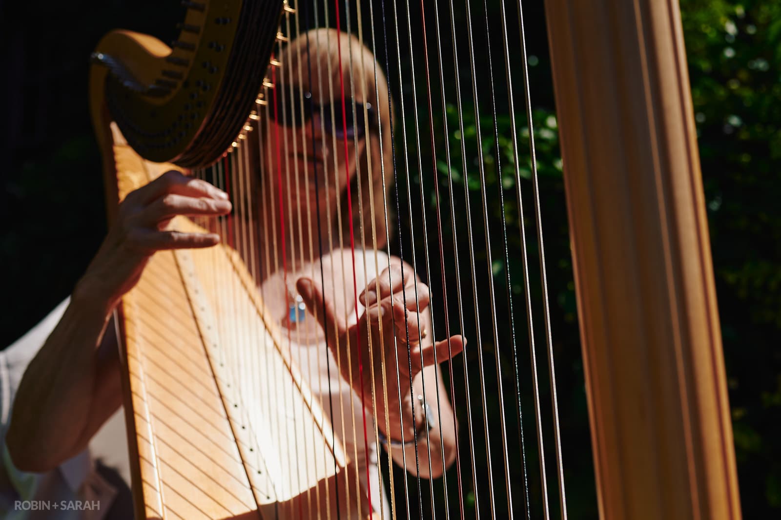 Harpist playing at wedding party